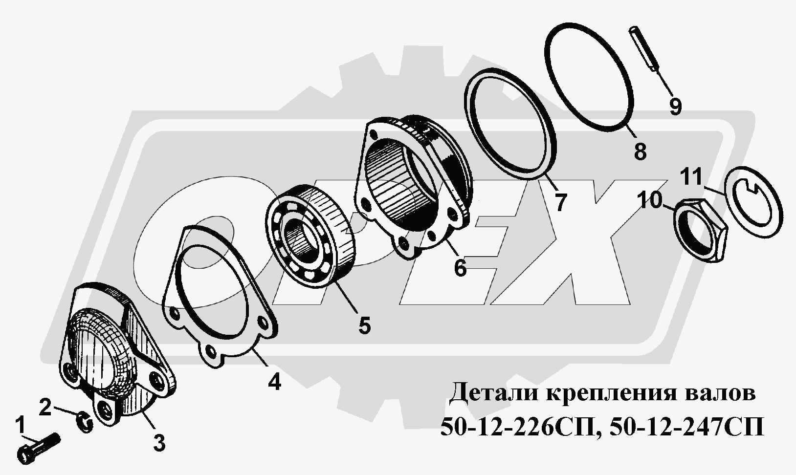 К сожалению, изображение отсутствует