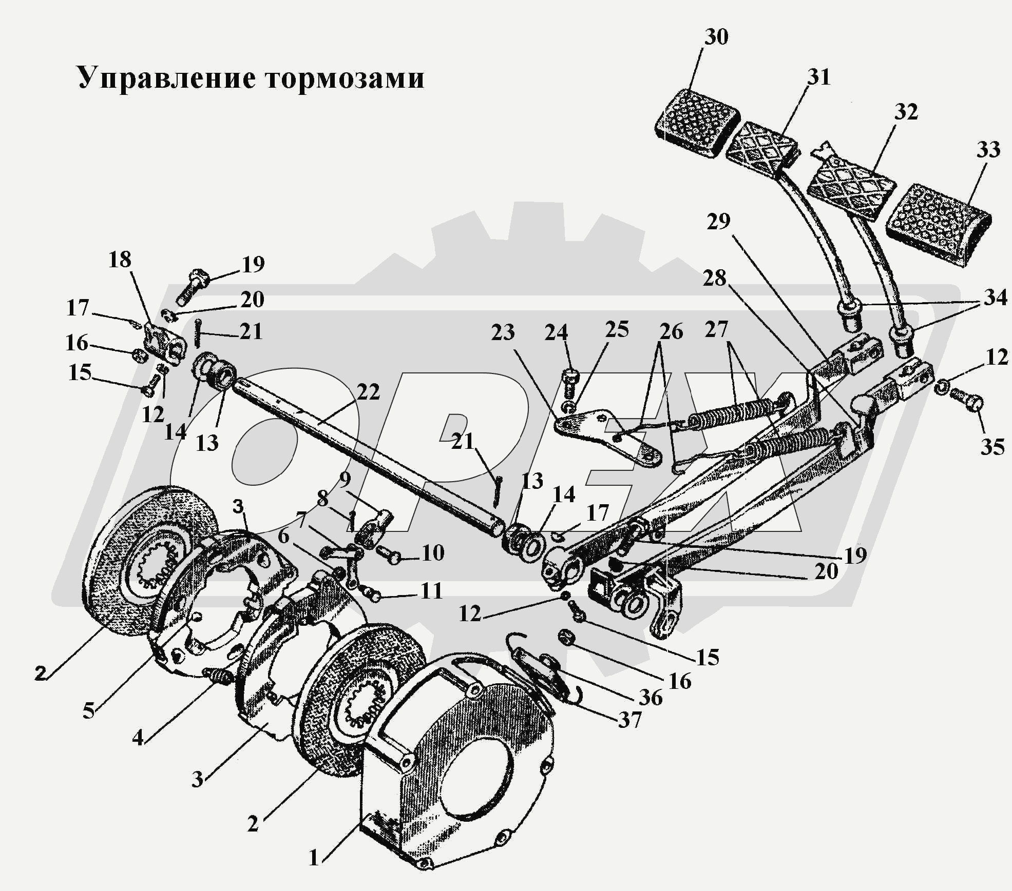 К сожалению, изображение отсутствует