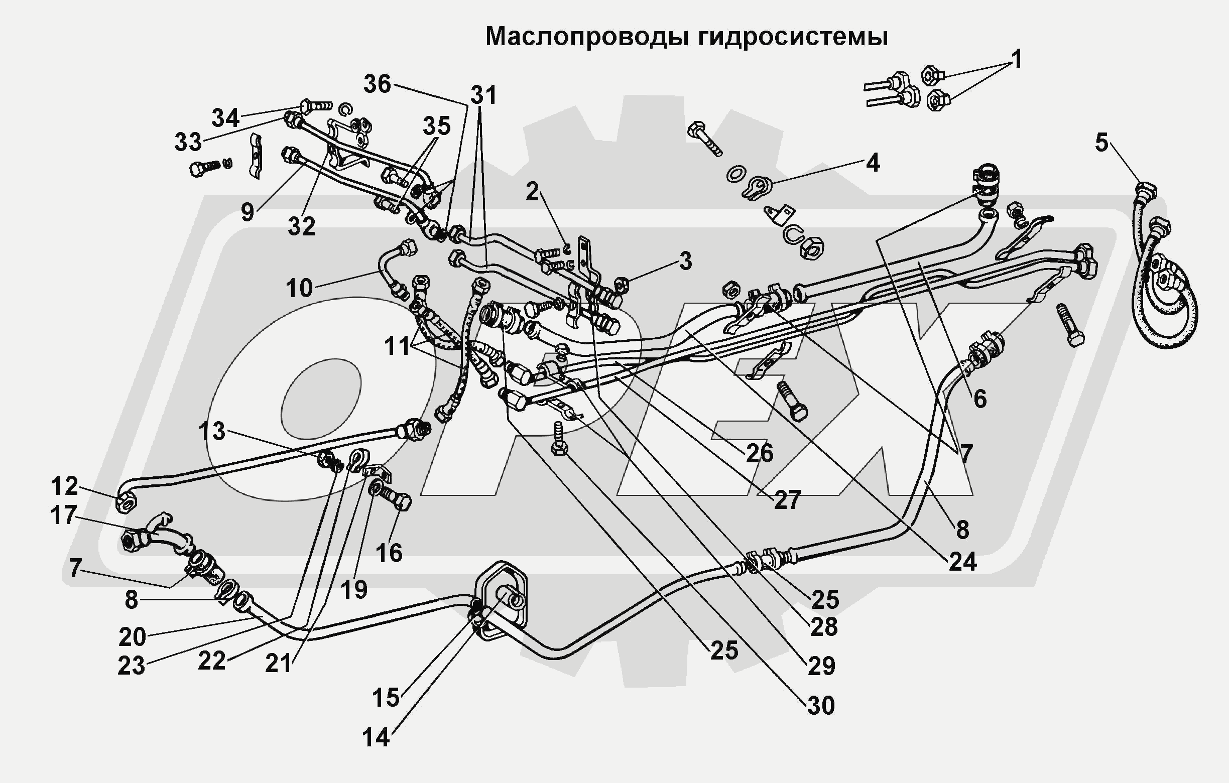 К сожалению, изображение отсутствует