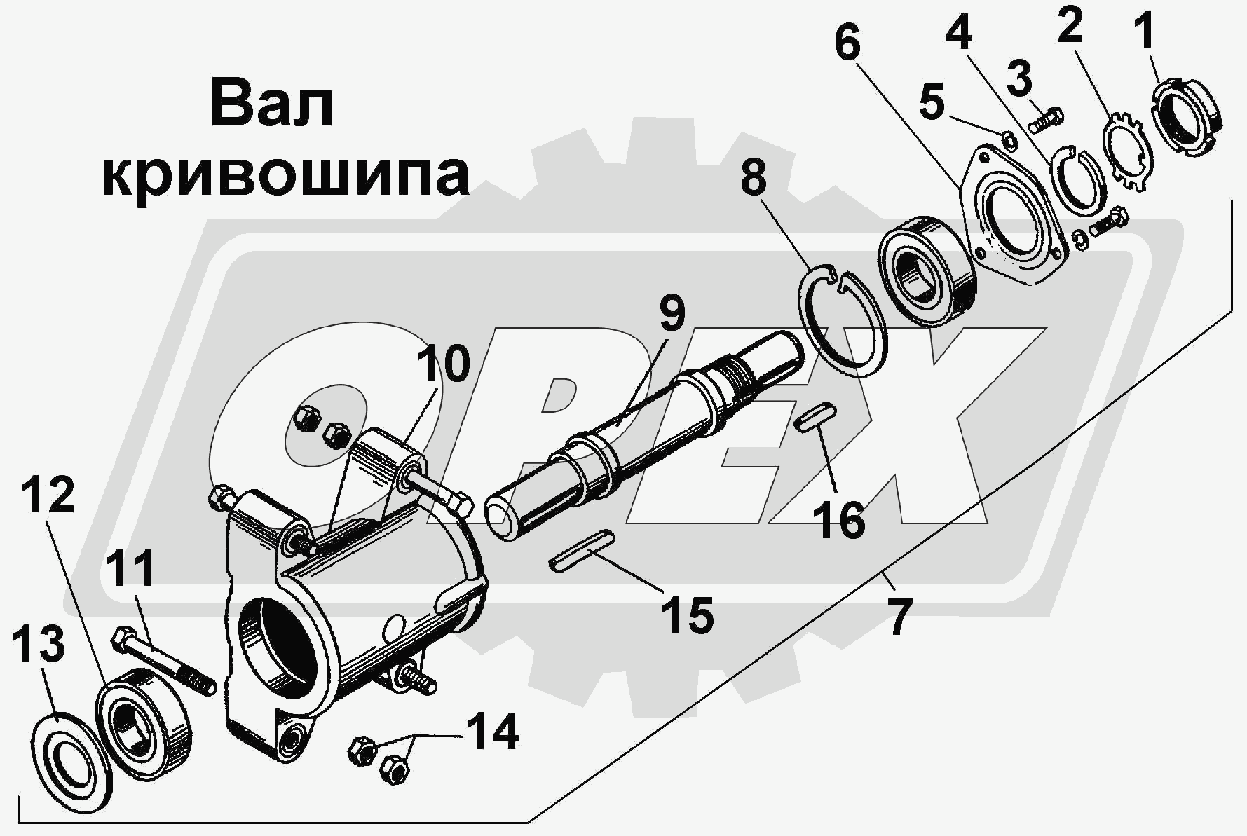 К сожалению, изображение отсутствует