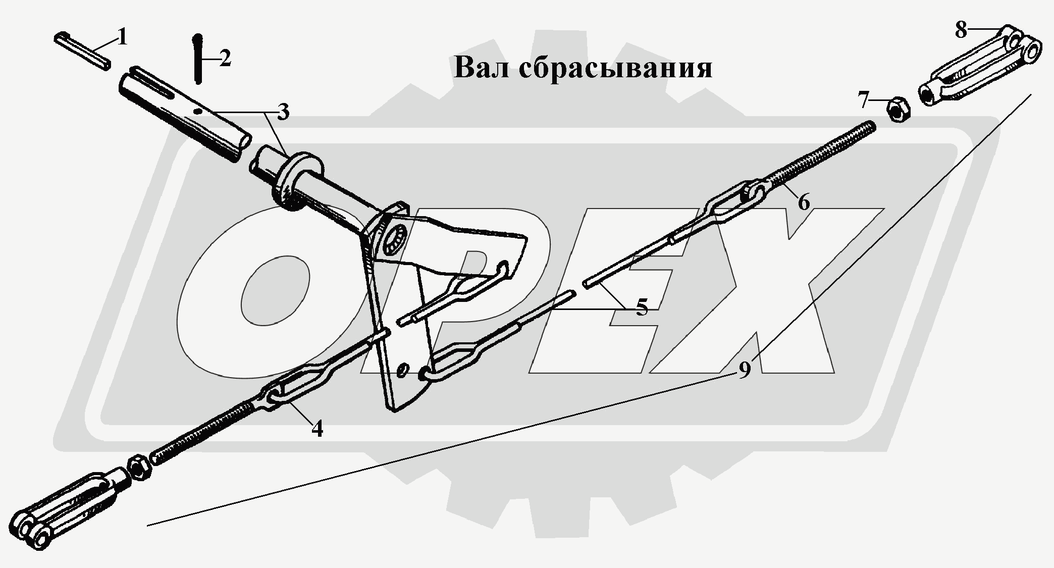 К сожалению, изображение отсутствует