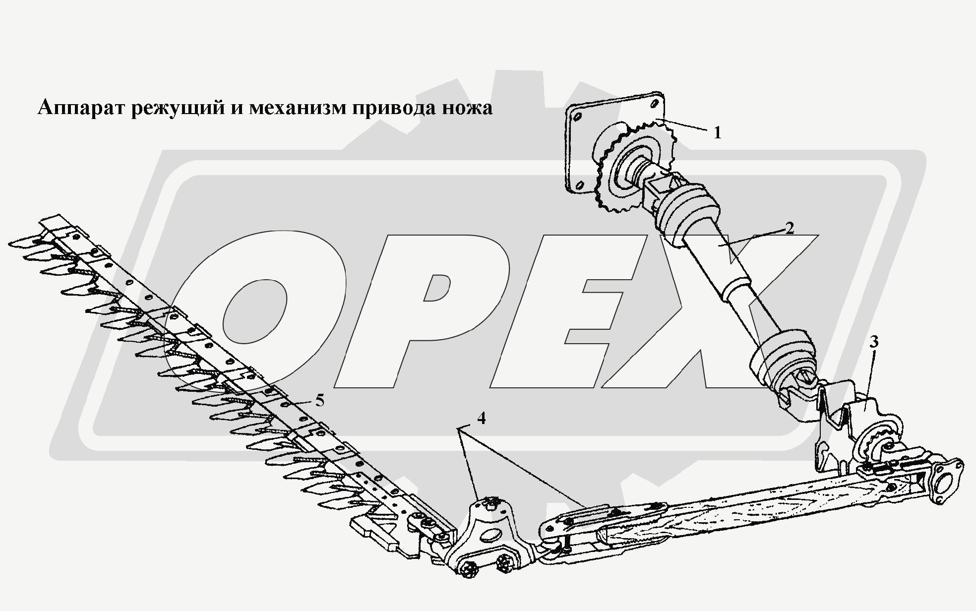 К сожалению, изображение отсутствует