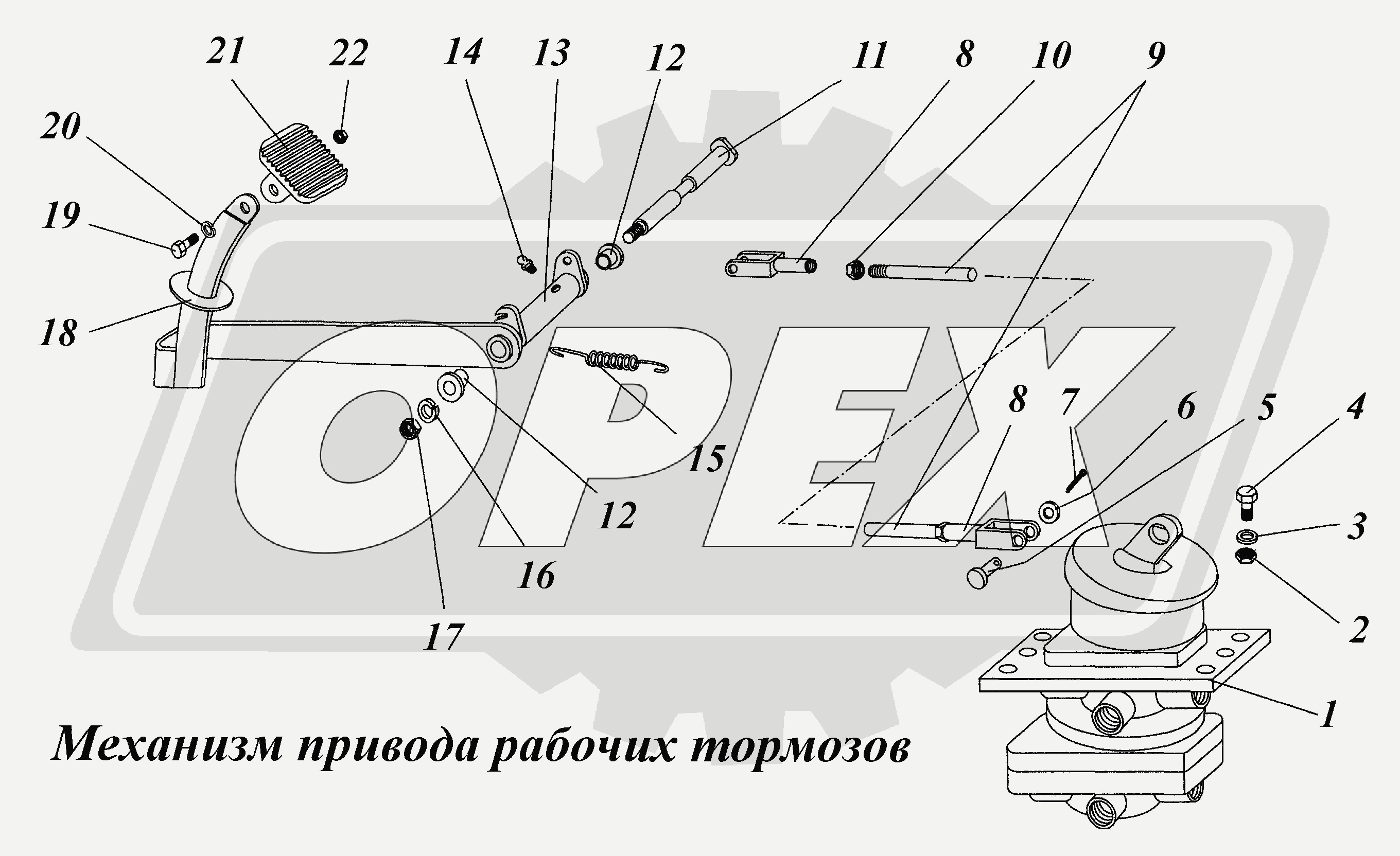 К сожалению, изображение отсутствует