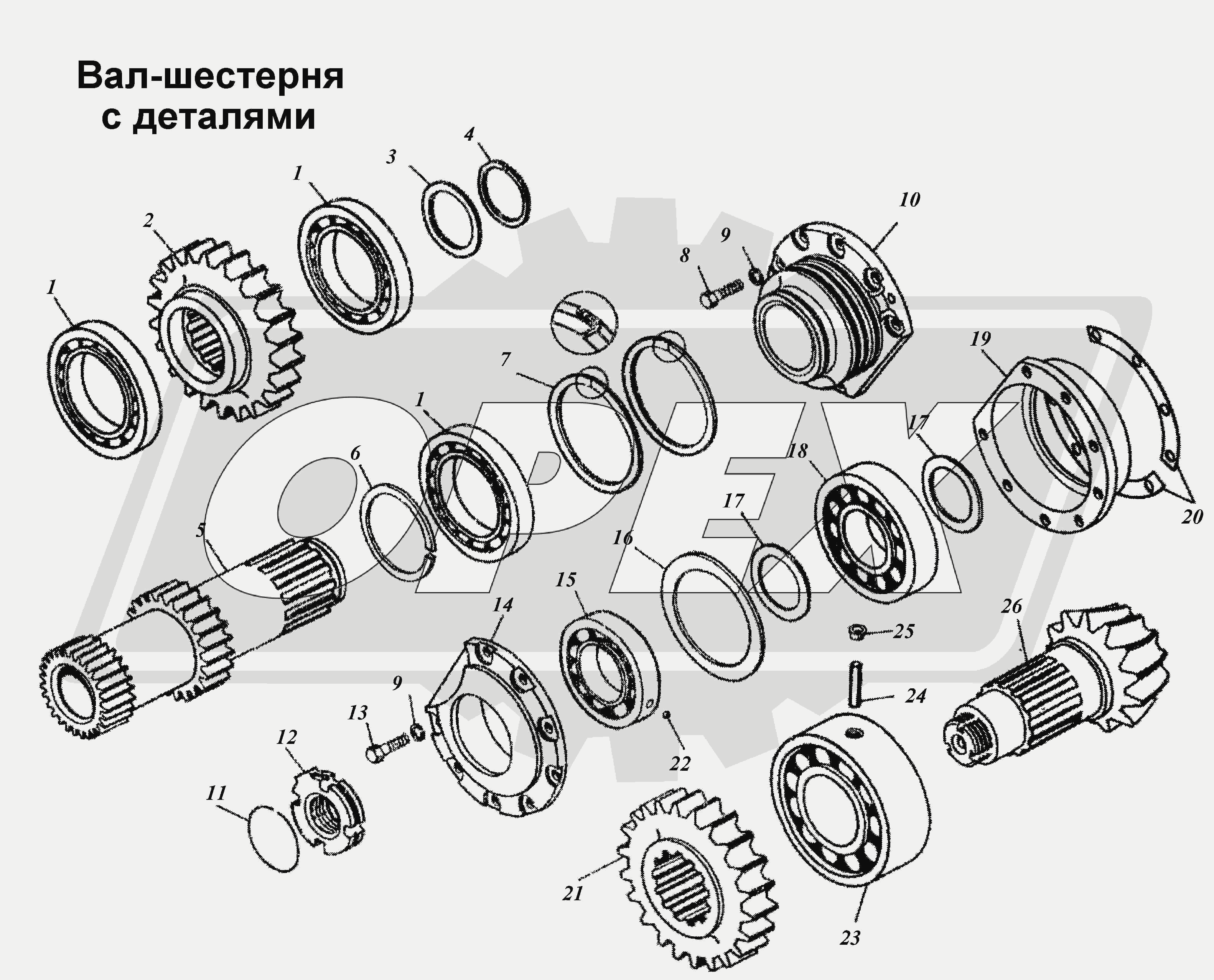 К сожалению, изображение отсутствует