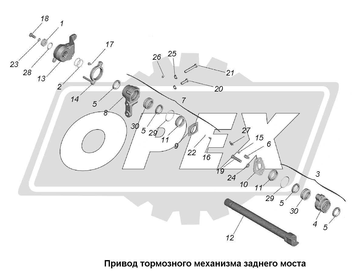 К сожалению, изображение отсутствует