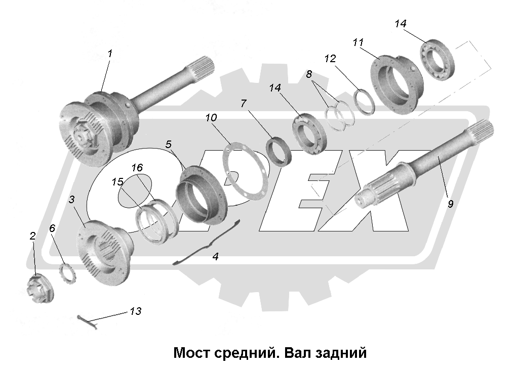 К сожалению, изображение отсутствует